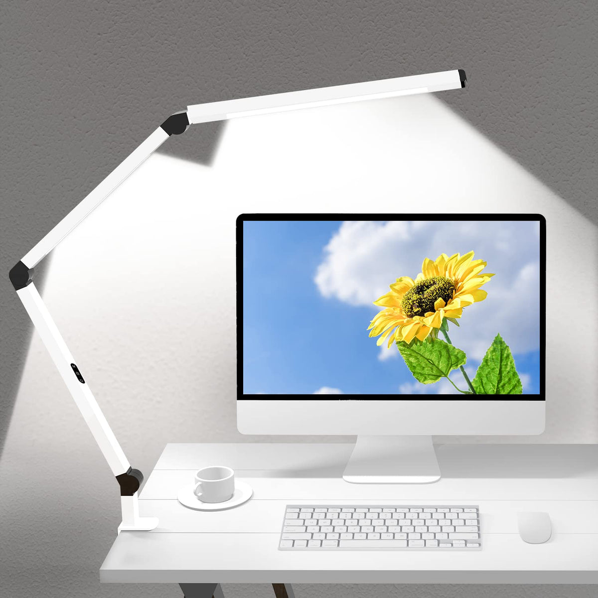Micomlan Desk Lamp for Home Office and Task Lighting