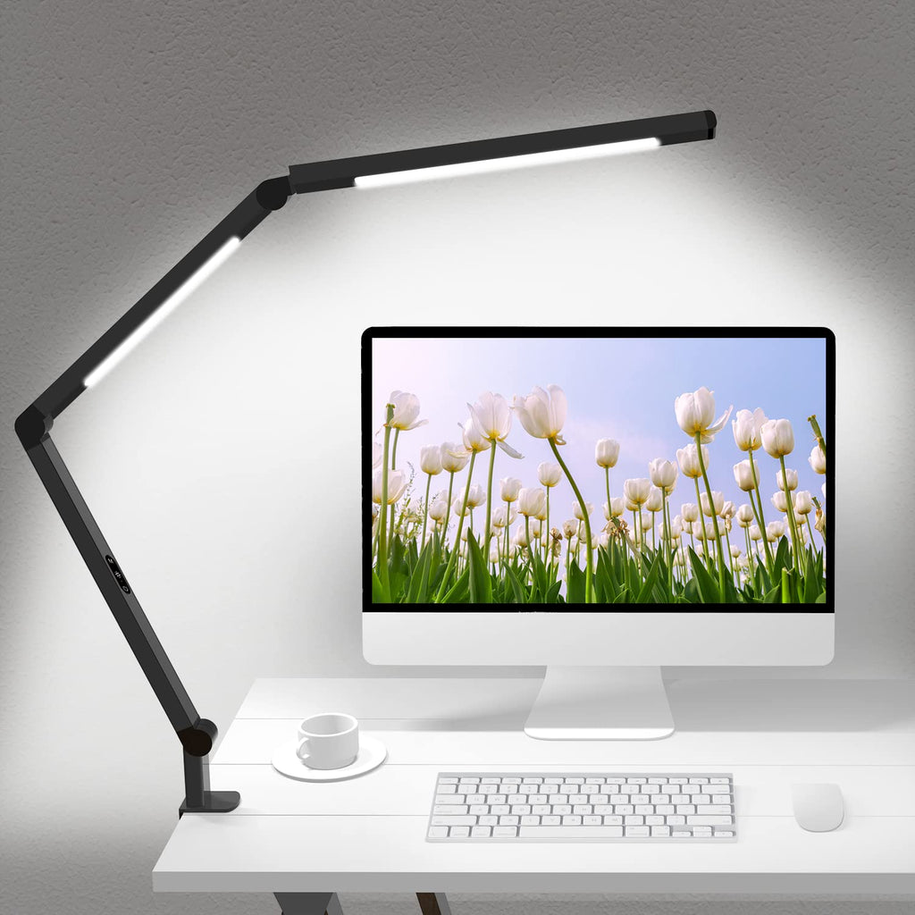 Micomlan Desk Lamp for Home Office and Task Lighting