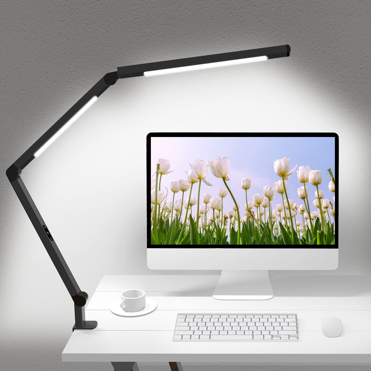 Micomlan Desk Lamp for Home Office and Task Lighting